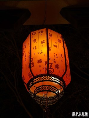 【新年好】+夜晚游園