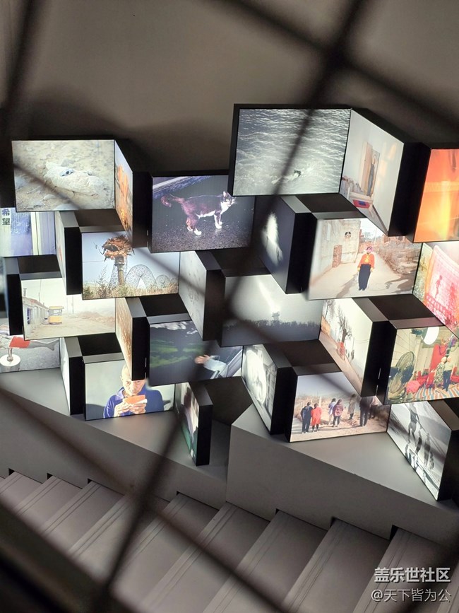 【蘇河皓斯線下攝影活動】+活動回顧