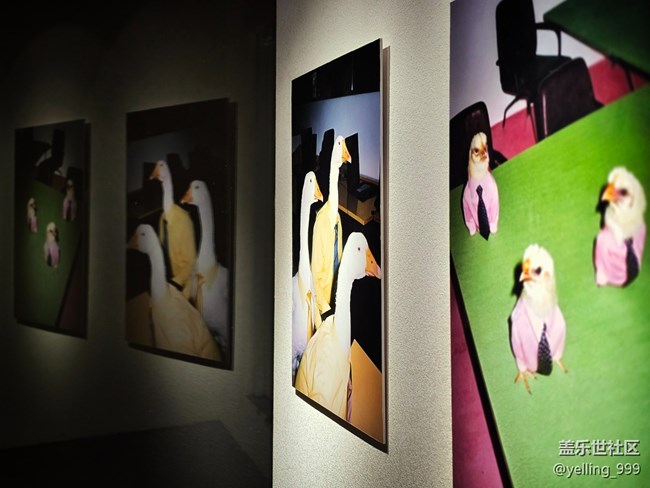 上海星部落1月4日蘇河皓斯線下攝影活動(dòng)回顧帖