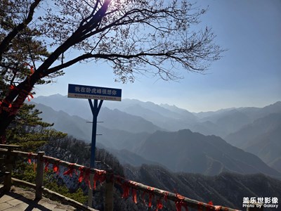 【新年好】+ 新年首爬