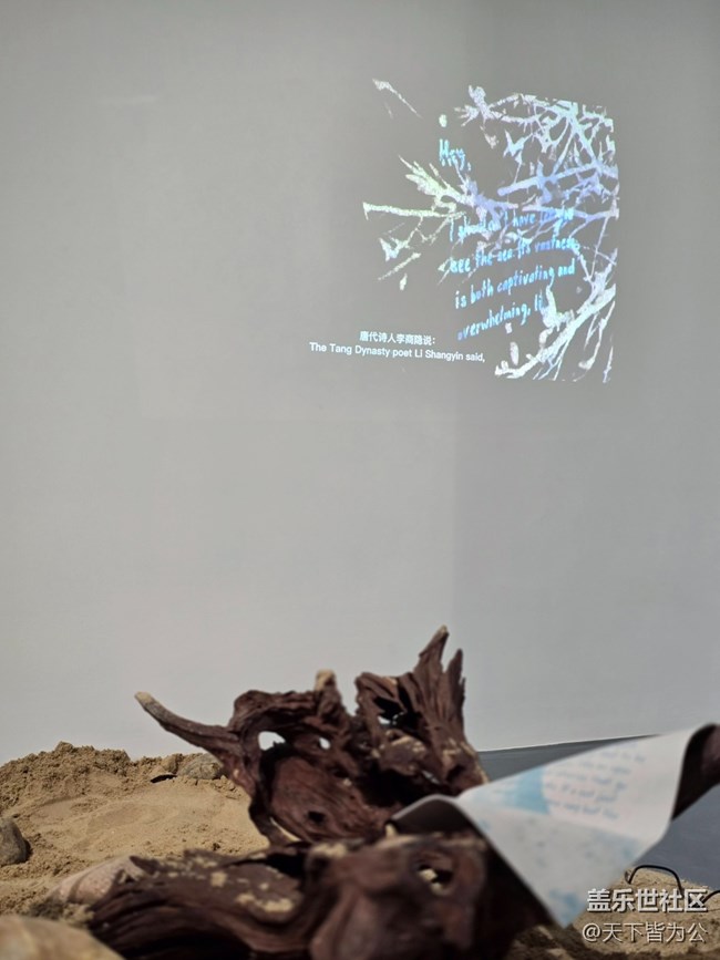 【蘇河皓斯線下攝影活動】+活動回顧