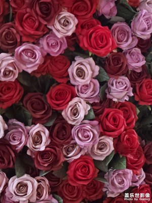 【新年好】+喜氣洋洋