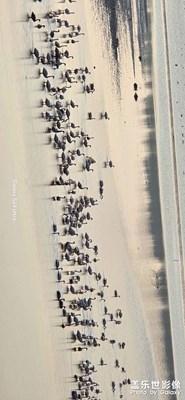 自然生態(tài) S24UItra