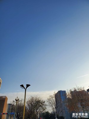 【新年好】暖冬