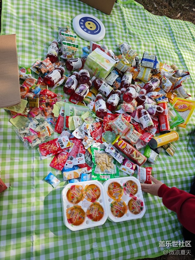 【活動(dòng)回顧】貓貓勇闖陌上花