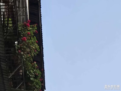 【新年好】+璀璨時光