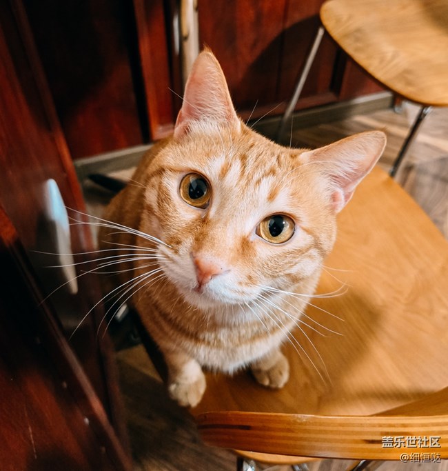 心系天下 三星W25 Flip輕使用體驗(yàn)