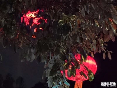 【新年好】+大紅燈籠高高掛