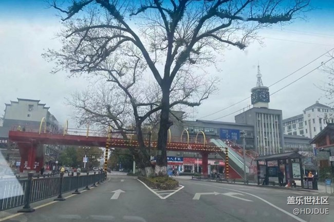 【年味】回家過年