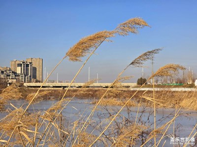 【冬日即景】+冬日結(jié)冰的小河