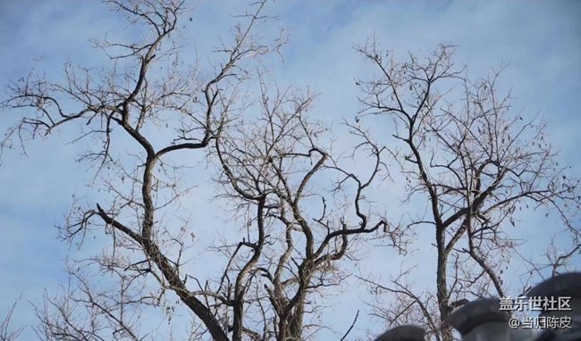 【2024難忘旅行】北京記憶