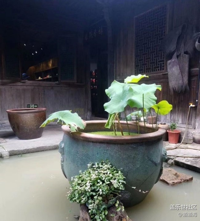 【2024難忘旅行】坐船