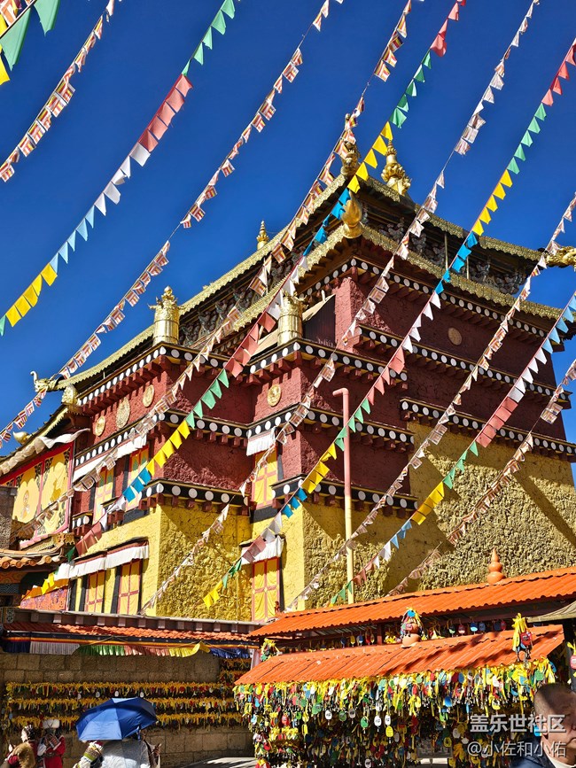 【2024難忘旅行】遇到了最好的香格里拉