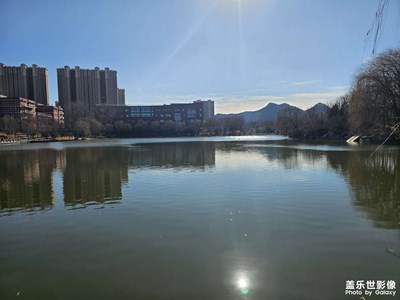 【冬日即景】冬日的校園