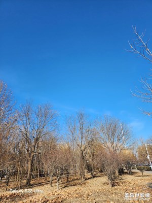 冬日即景 景色隨拍