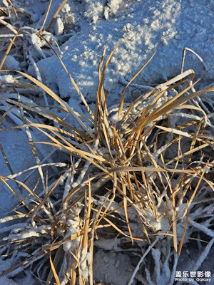 【冬日即景】+雪后