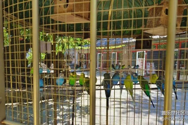 【2024難忘旅行】度假村