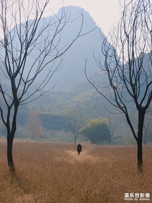 冬日走進(jìn)山野