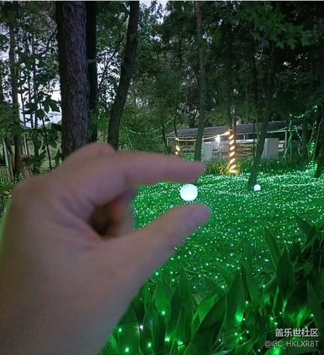 【2024難忘旅行】看彩燈