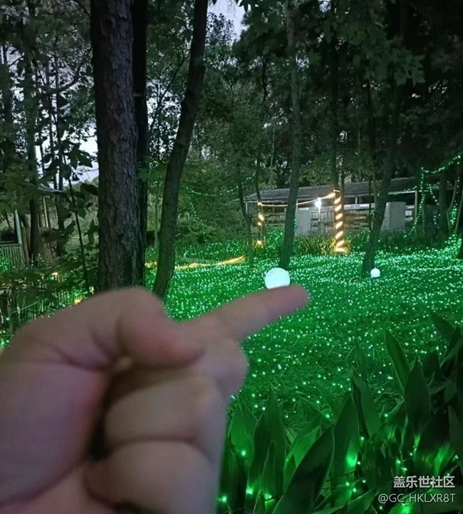 【2024難忘旅行】看彩燈