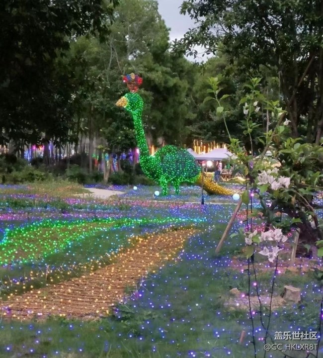 【2024難忘旅行】看彩燈