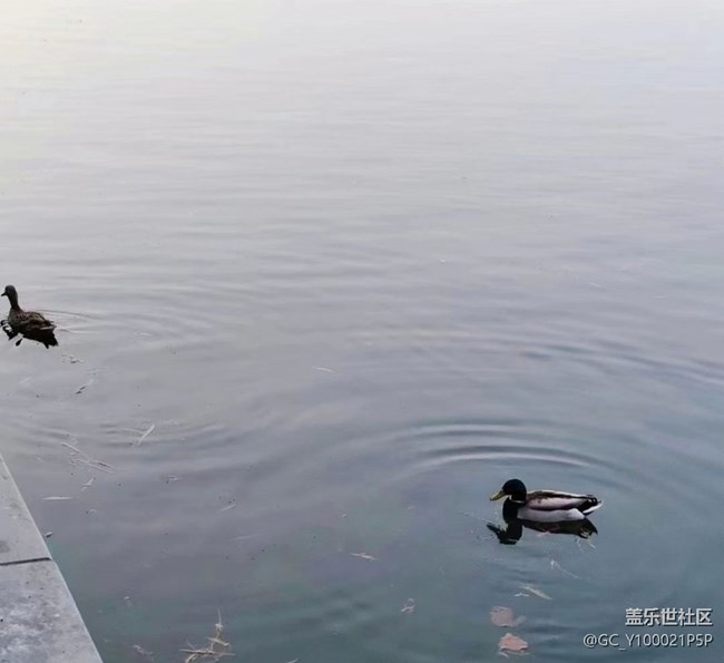 【2024難忘旅行】北京旅行