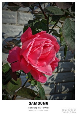 【冬日即景】+隨手拍