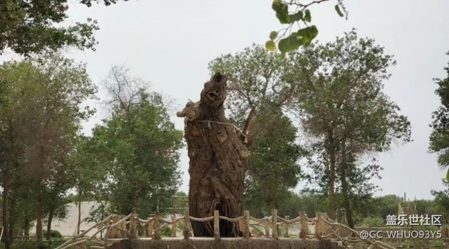 【2024難忘旅行】刀郎部落