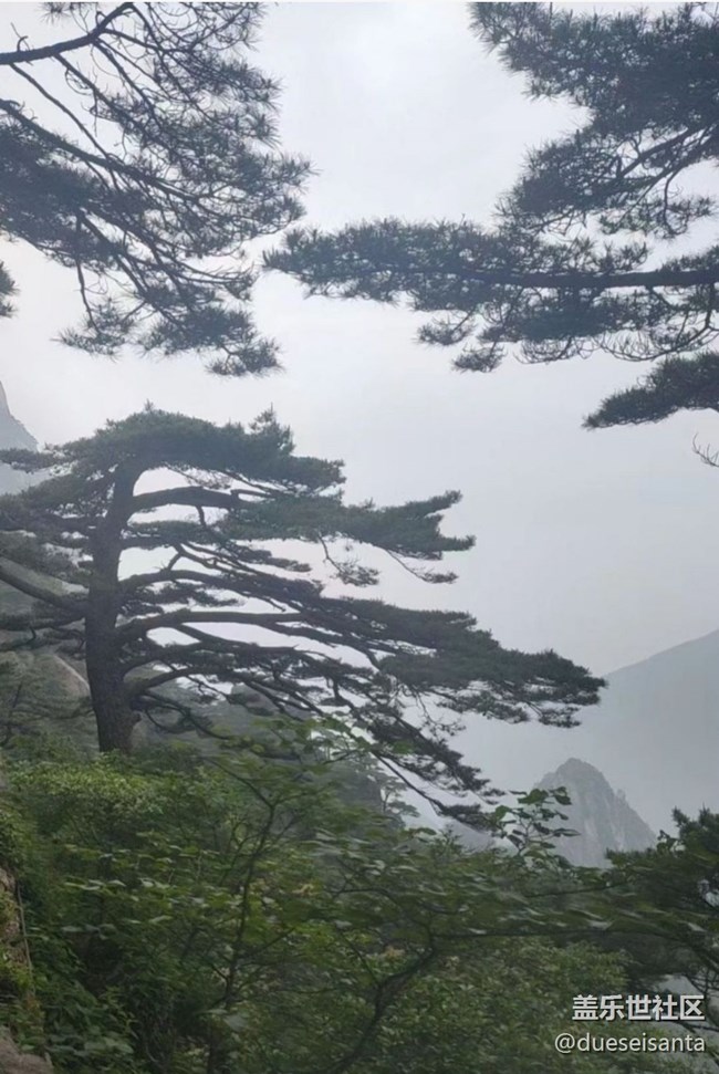 【2024難忘旅行】黃山行