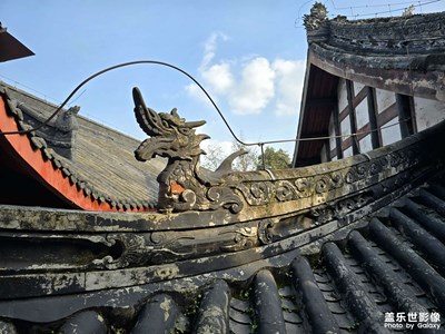 【冬日即景】+午后古寺的參詳