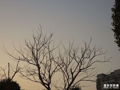 【冬日即景】+ 南方的冬日即景