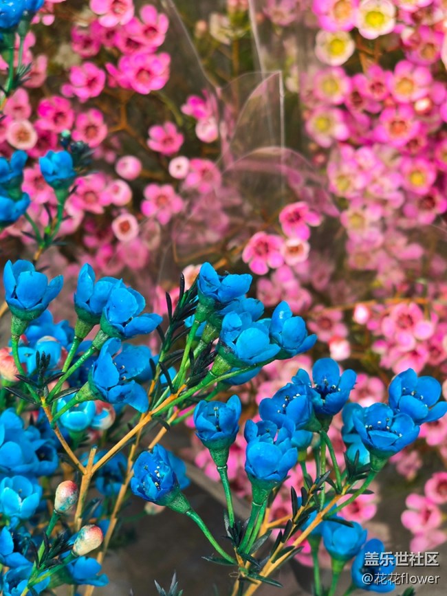 【韓國(guó)街線下攝影活動(dòng)】+重游韓國(guó)街