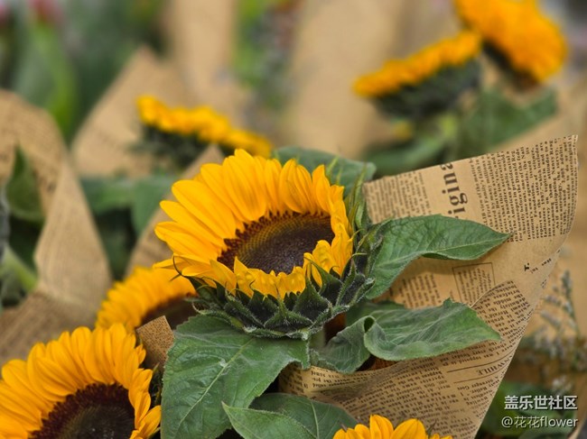 【韓國(guó)街線下攝影活動(dòng)】+重游韓國(guó)街