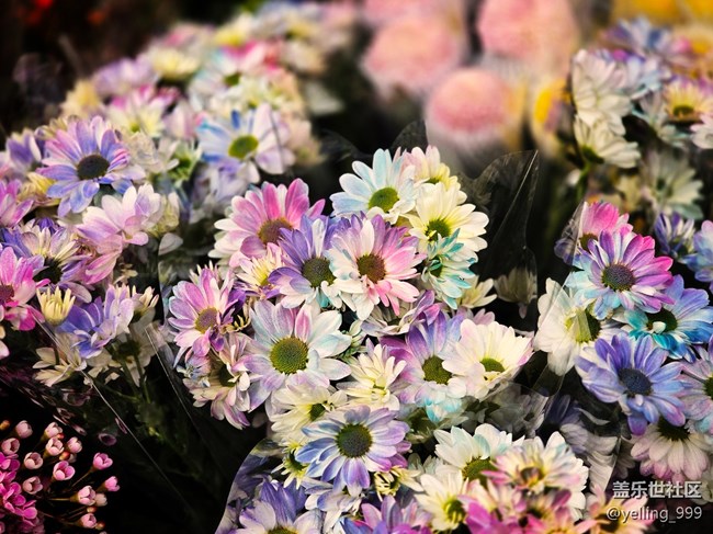 上海星部落1月11日韓國(guó)街線下攝影活動(dòng)回顧帖