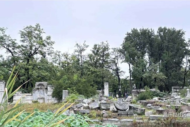 【2024難忘旅行】游覽圓明園