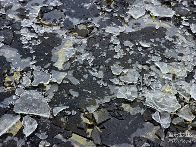 【韓國(guó)街線下攝影活動(dòng)】+重游韓國(guó)街