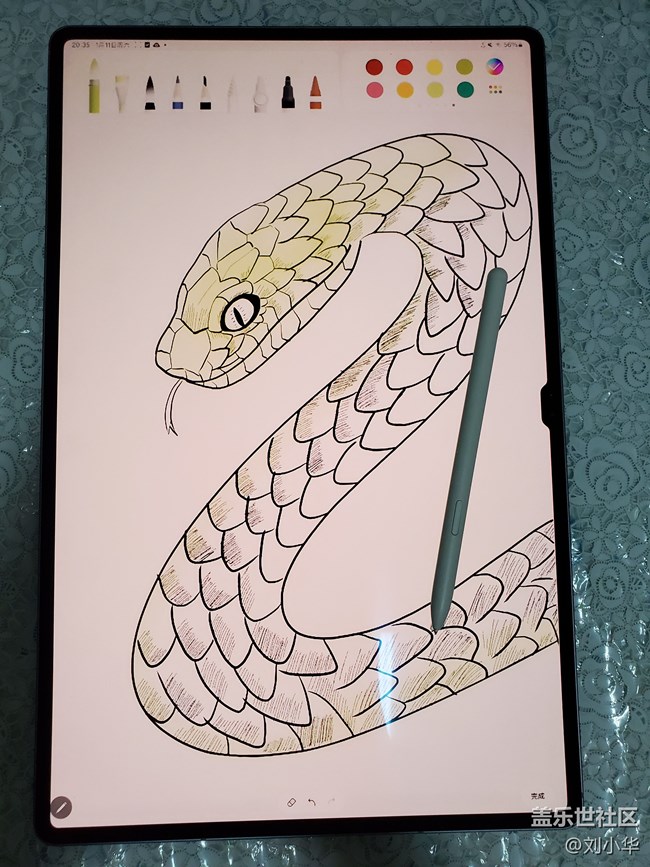 Tab S10 Ultra【蛇年大吉】