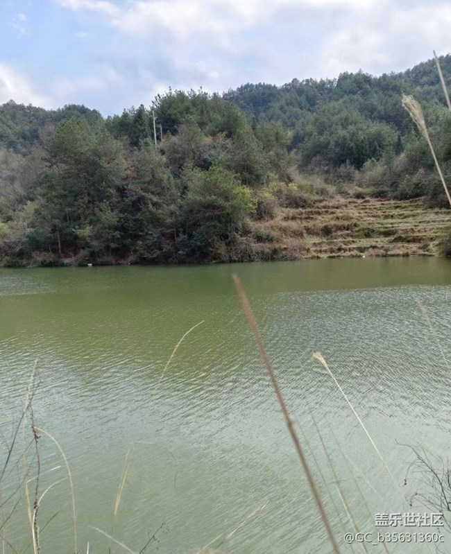 【2025你好】去釣魚