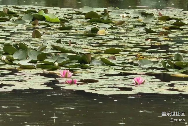 【2024難忘旅行】游覽圓明園