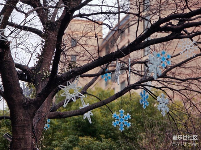 【韓國(guó)街線下攝影活動(dòng)】+重游韓國(guó)街