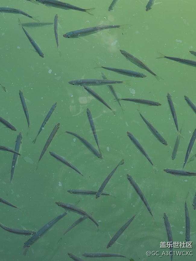 【2024難忘旅行】夏日旅行