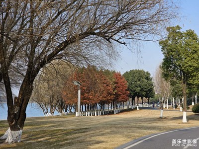 【冬日即景】冬日的萬景園