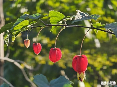 【冬日即景】+公園隨手拍