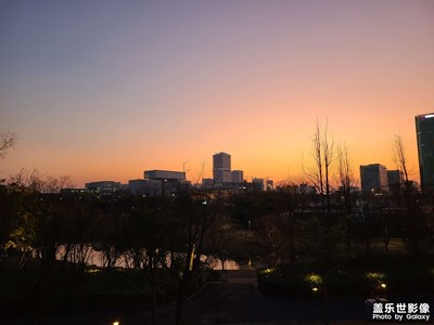 【冬日即景】+冬日暖陽