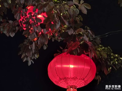 【冬日即景】+喜慶的顏色