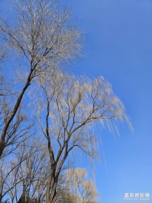 【冬日即景】+鏡頭里的藍(lán)天