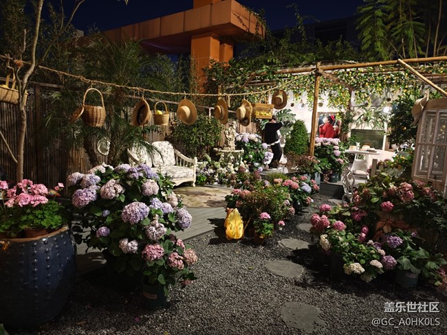 【活動回顧】豆伴花園