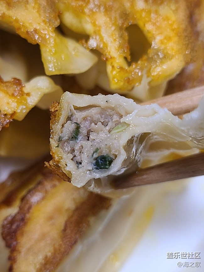 【有滋有味】煎餃