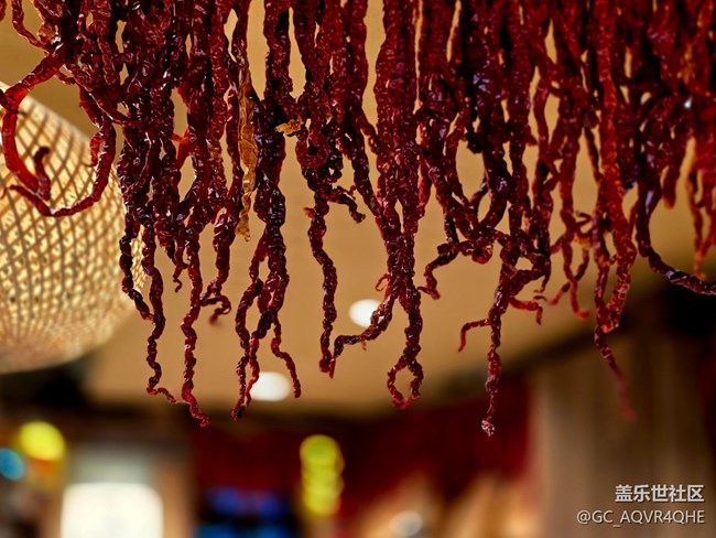 #新年伊始——新年好