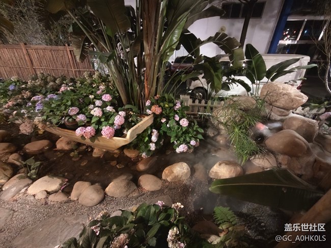 【活動回顧】豆伴花園